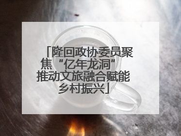 隆回政协委员聚焦“亿年龙洞” 推动文旅融合赋能乡村振兴