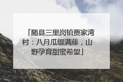 随县三里岗镇贾家湾村：八月瓜缀满藤，山野孕育甜蜜希望