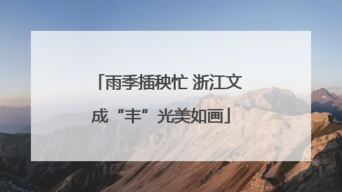 雨季插秧忙 浙江文成“丰”光美如画