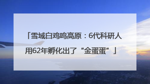 雪域白鸡鸣高原：6代科研人用62年孵化出了“金蛋蛋”