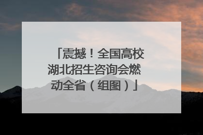 震撼！全国高校湖北招生咨询会燃动全省（组图）