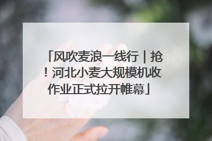 风吹麦浪一线行｜抢！河北小麦大规模机收作业正式拉开帷幕