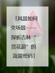 风景如何变场景——探析吉林“赏花游”的流量密码