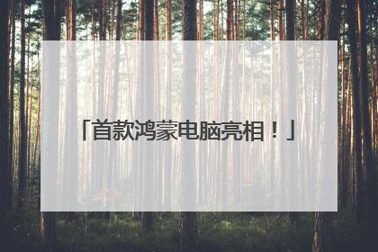 首款鸿蒙电脑亮相！