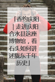 香约庆阳｜走进庆阳合水县这座博物馆，看石头如何讲述陇东千年历史