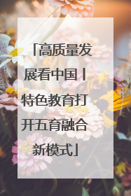 高质量发展看中国丨特色教育打开五育融合新模式