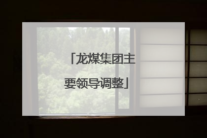 龙煤集团主要领导调整