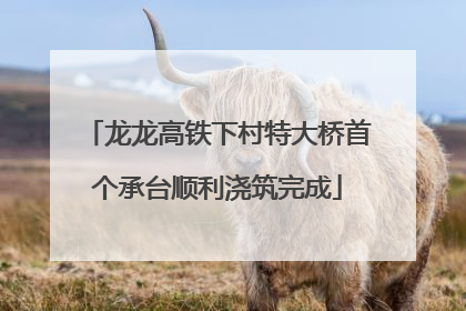 龙龙高铁下村特大桥首个承台顺利浇筑完成
