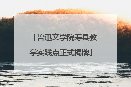 鲁迅文学院寿县教学实践点正式揭牌