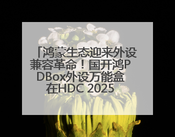 鸿蒙生态迎来外设兼容革命！国开鸿PDBox外设万能盒在HDC 2025大放异彩