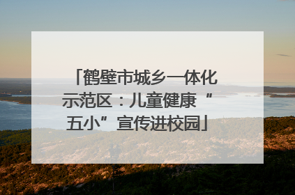 鹤壁市城乡一体化示范区：儿童健康“五小”宣传进校园