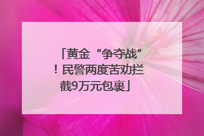 黄金“争夺战”！民警两度苦劝拦截9万元包裹