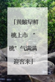 黄陂早鲜桃上市 “桃”气满满迎客来