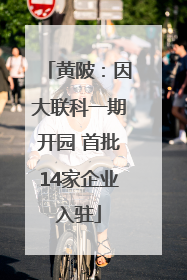 黄陂：因大联科一期开园 首批14家企业入驻