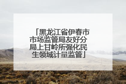 黑龙江省伊春市市场监管局友好分局上甘岭所强化民生领域计量监管