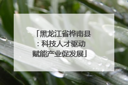 黑龙江省桦南县：科技人才驱动 赋能产业促发展