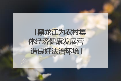 黑龙江为农村集体经济健康发展营造良好法治环境