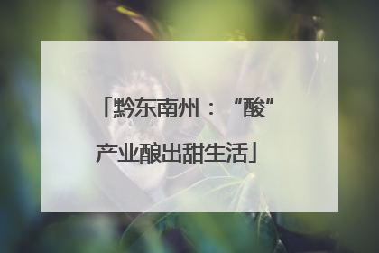 黔东南州：“酸”产业酿出甜生活