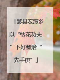黟县宏潭乡以“绣花功夫”下好整治“先手棋”