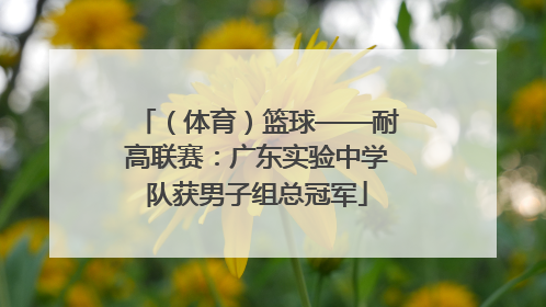 （体育）篮球——耐高联赛：广东实验中学队获男子组总冠军