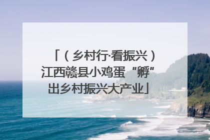 （乡村行·看振兴）江西赣县小鸡蛋“孵”出乡村振兴大产业