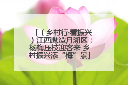 （乡村行·看振兴）江西鹰潭月湖区：杨梅压枝迎客来 乡村振兴添“梅”景