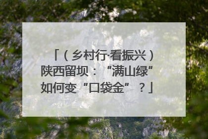 （乡村行·看振兴）陕西留坝：“满山绿”如何变“口袋金”？