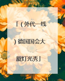 （外代一线）德国国会大厦灯光秀