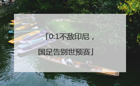 0:1不敌印尼，国足告别世预赛