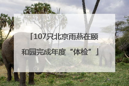107只北京雨燕在颐和园完成年度“体检”