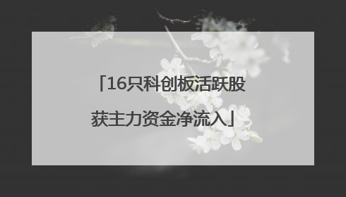 16只科创板活跃股获主力资金净流入