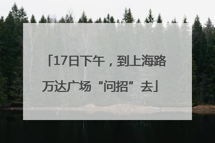 17日下午，到上海路万达广场“问招”去