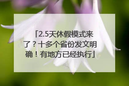 2.5天休假模式来了？十多个省份发文明确！有地方已经执行