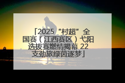 2025“村超”全国赛（江西赛区）弋阳选拔赛燃情揭幕 22支劲旅绿茵逐梦