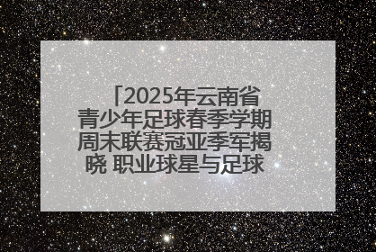 2025年云南省青少年足球春季学期周末联赛冠亚季军揭晓 职业球星与足球小将共享荣耀时刻