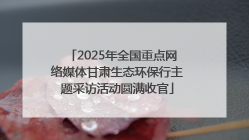 2025年全国重点网络媒体甘肃生态环保行主题采访活动圆满收官