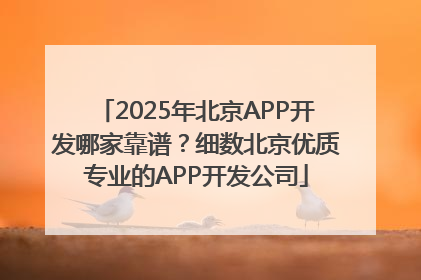 2025年北京APP开发哪家靠谱？细数北京优质专业的APP开发公司