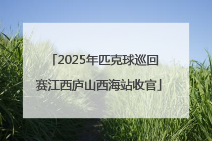 2025年匹克球巡回赛江西庐山西海站收官