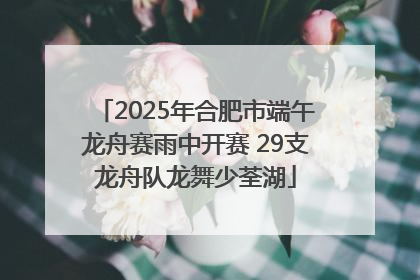 2025年合肥市端午龙舟赛雨中开赛 29支龙舟队龙舞少荃湖