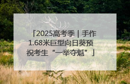 2025高考季｜手作1.68米巨型向日葵预祝考生“一举夺魁”