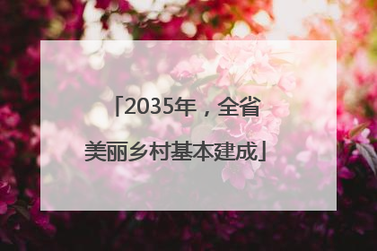 2035年，全省美丽乡村基本建成