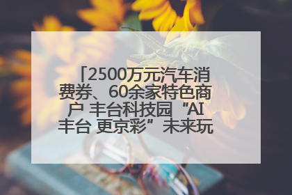 2500万元汽车消费券、60余家特色商户 丰台科技园“AI丰台 更京彩”未来玩家市集活动正式开幕