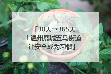 30天→365天！温州鹿城五马街道让安全成为习惯