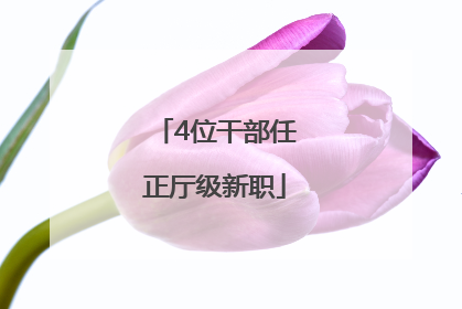 4位干部任正厅级新职