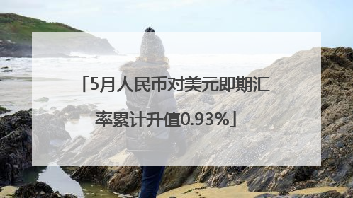 5月人民币对美元即期汇率累计升值0.93%