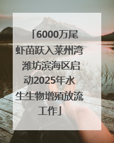 6000万尾虾苗跃入莱州湾 潍坊滨海区启动2025年水生生物增殖放流工作