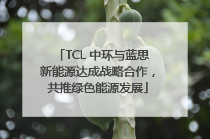 TCL 中环与蓝思新能源达成战略合作，共推绿色能源发展
