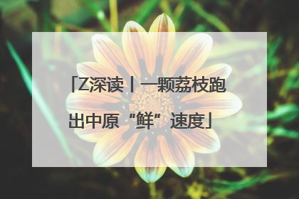 Z深读丨一颗荔枝跑出中原“鲜”速度